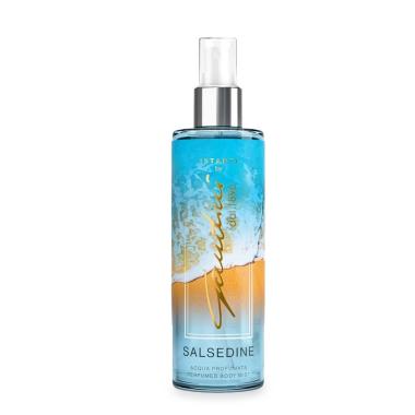 Gandini istanti acqua corpo 250 ml salsedine